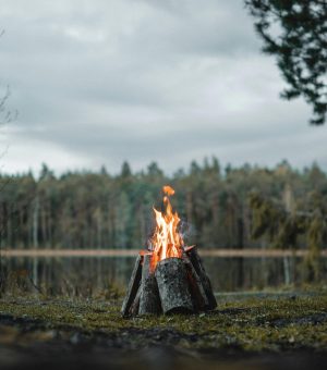 pexels-gantas-4323815